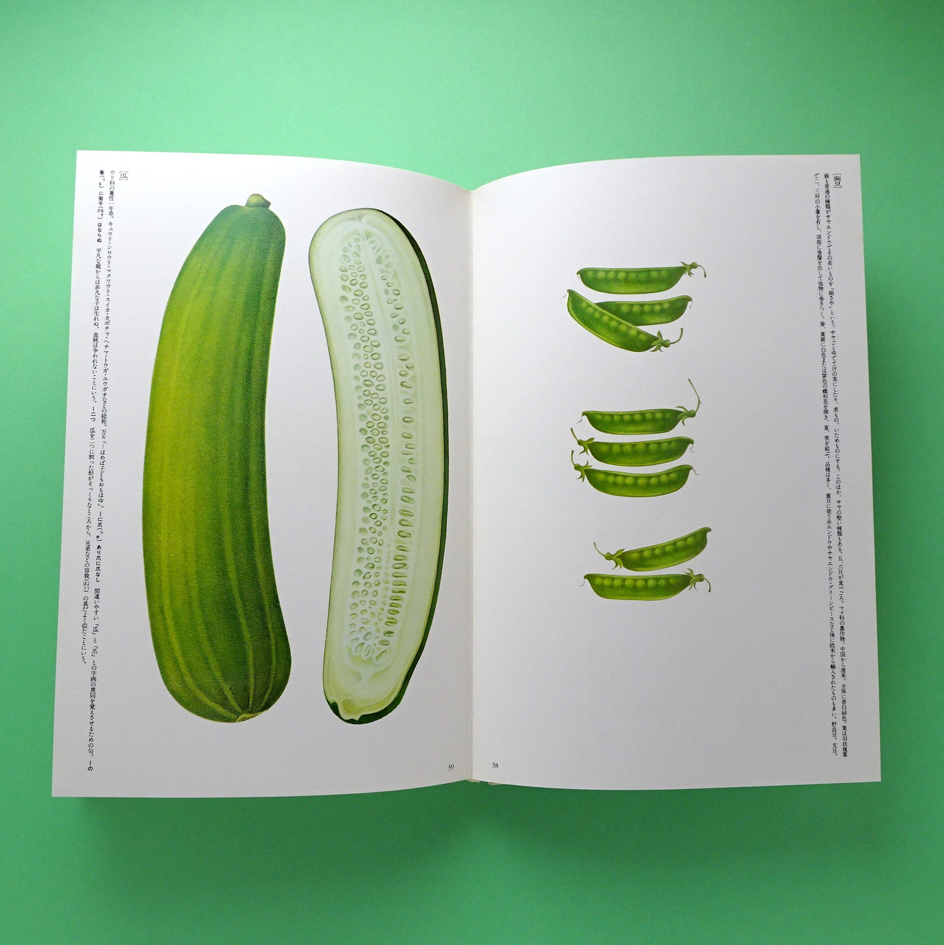 大橋正の博物誌 | コ本や ONLINE SHOP