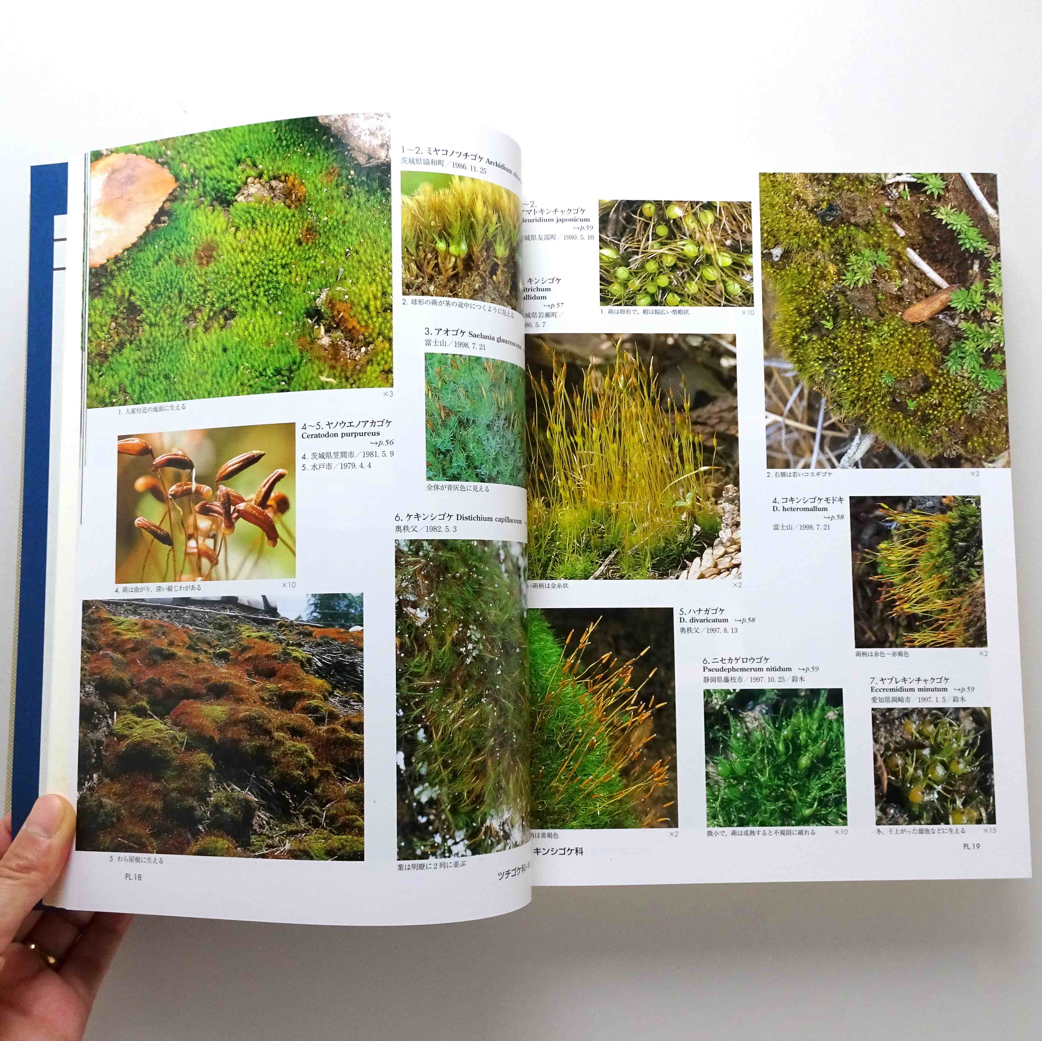 【12月スーパーSALE 15％OFF】 42HRG6IXMMVRWCHBQKBMECOG.jpeg 語学・辞書・学習参考書