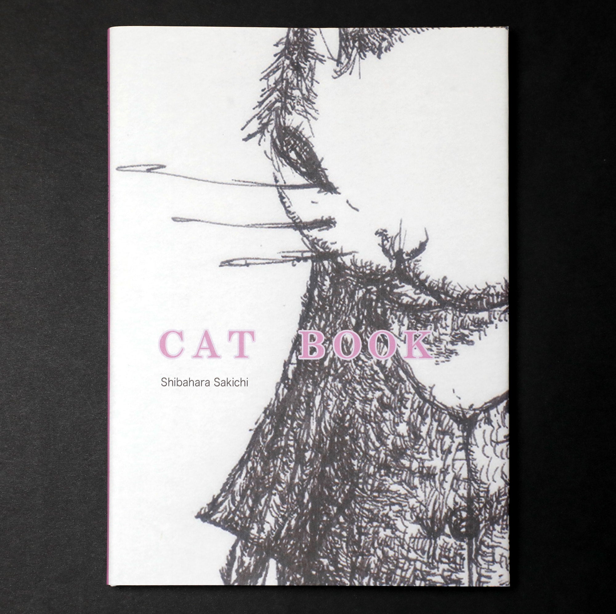 ☆ 柴原幸智 極細ペン画 原画 ☆ 極細ペン画 原画 BOOK｜柴原幸智