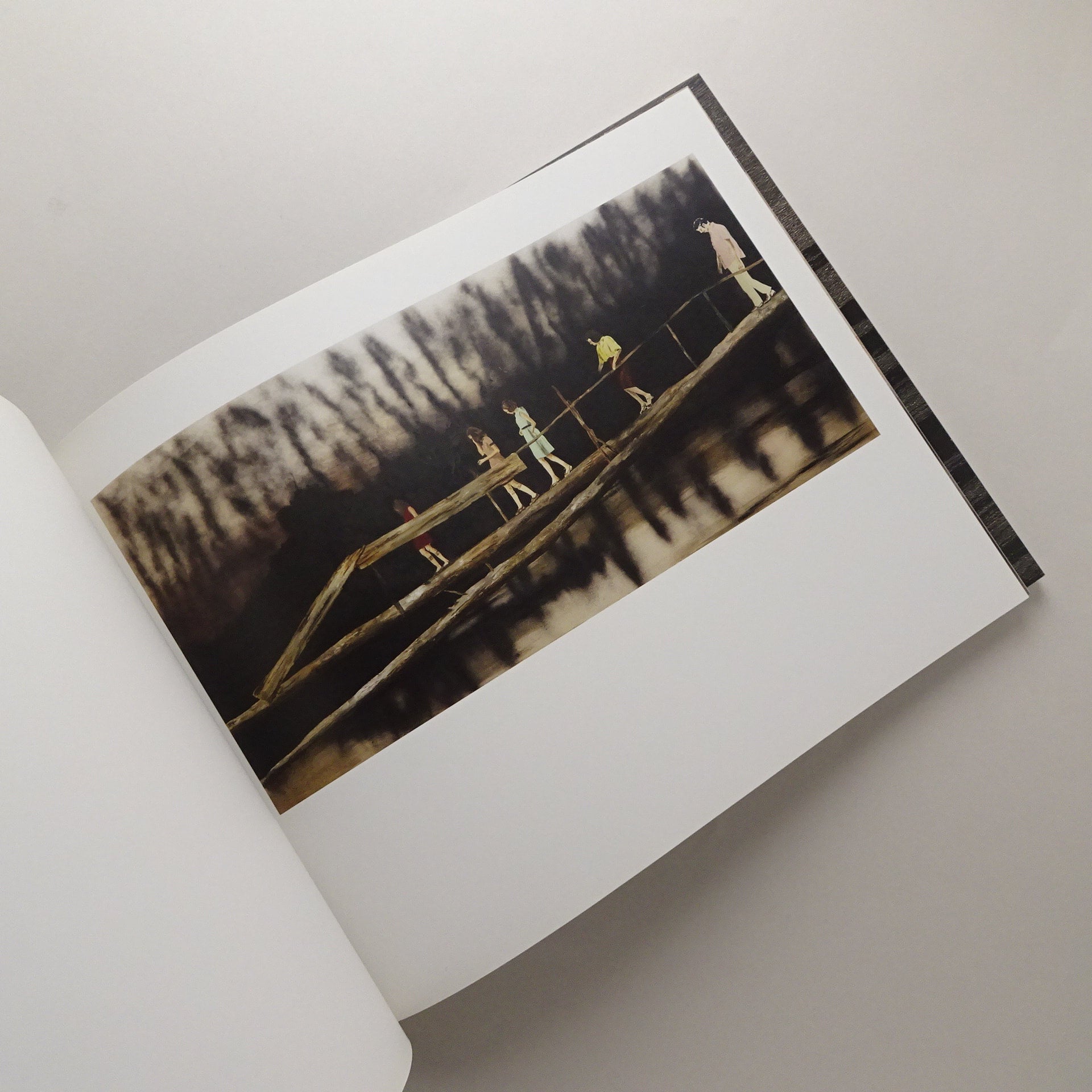 Mamma Andersson 「Dog Days」KERBER Mamma Andersson : Dog Days | コ本や ONLINE SHOP