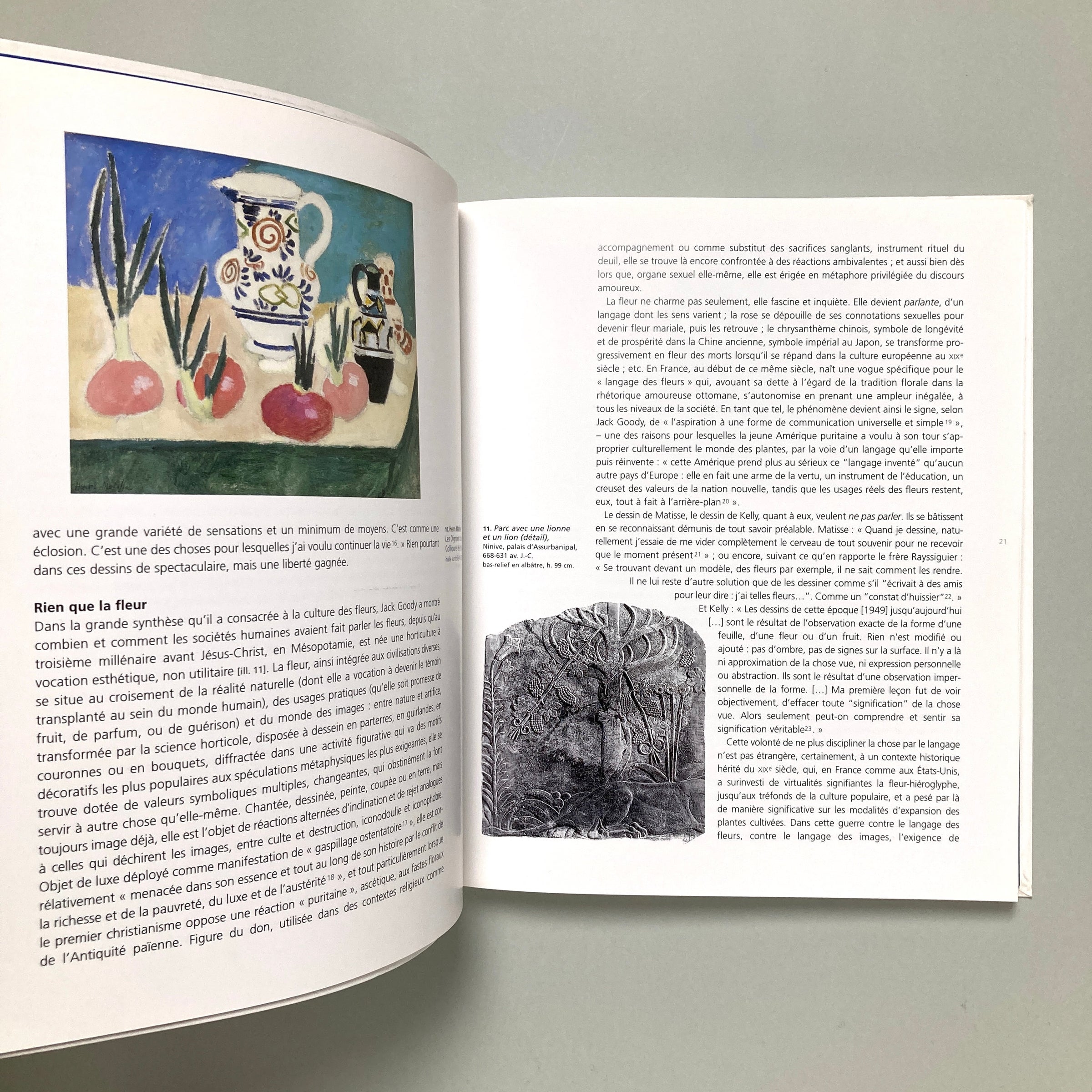 Henri Matisse - Ellsworth Kelly: dessins de plantes | コ本や