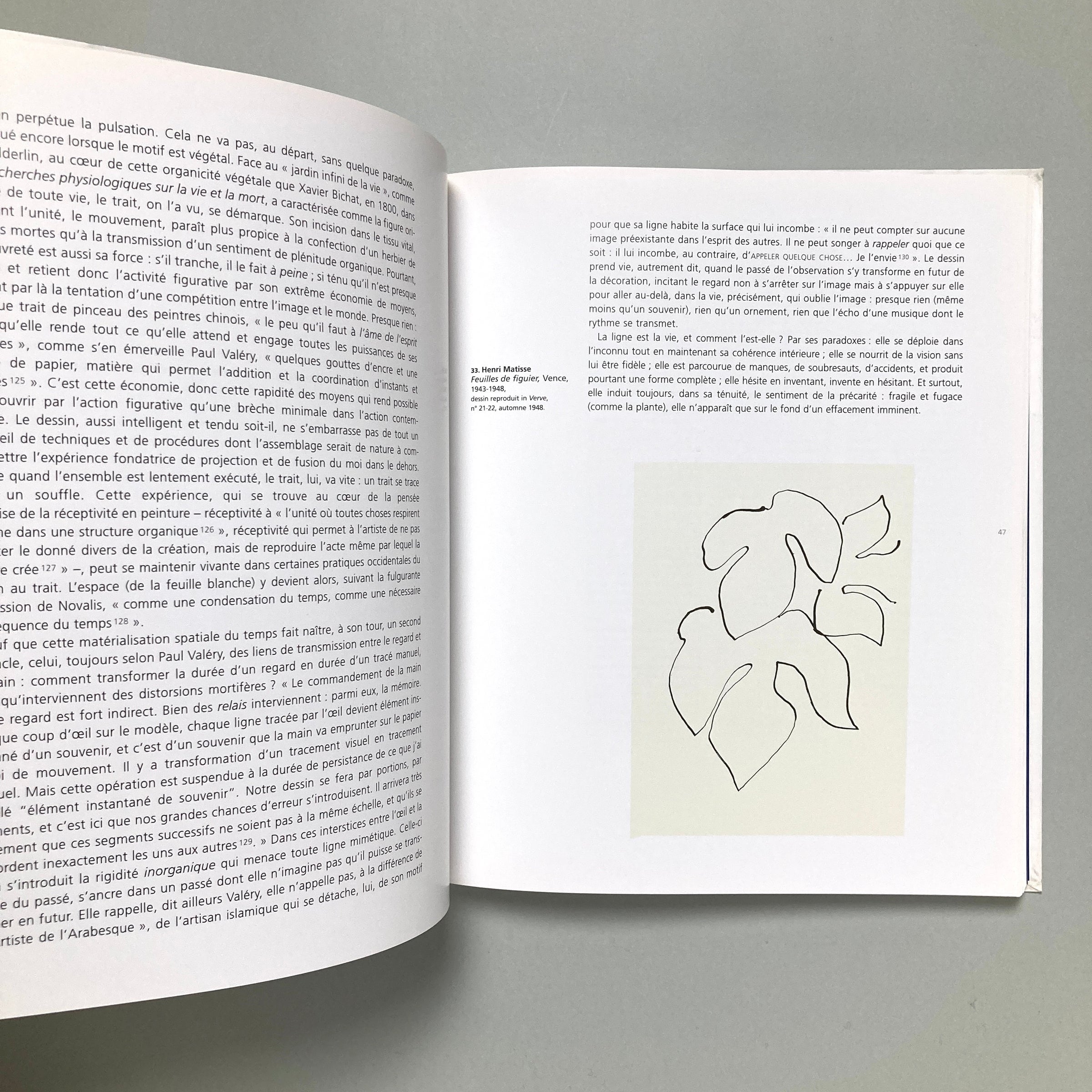 Henri Matisse - Ellsworth Kelly: dessins de plantes | コ本や