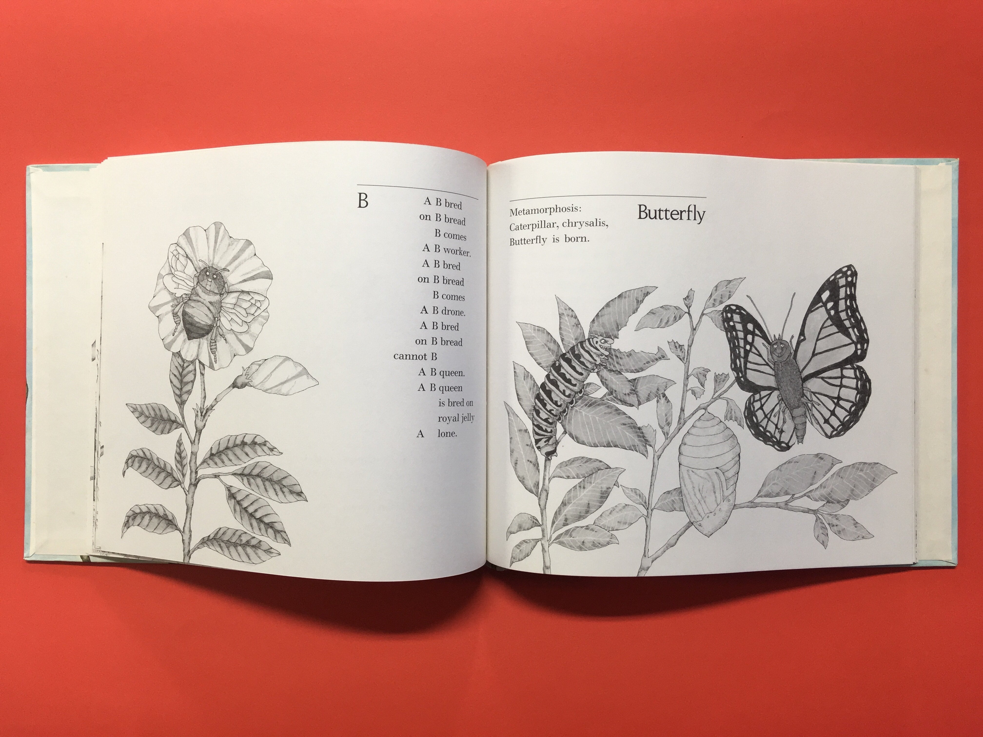 BUGS｜Mary Ann Hoberman & Victoria Chess メアリー・アン