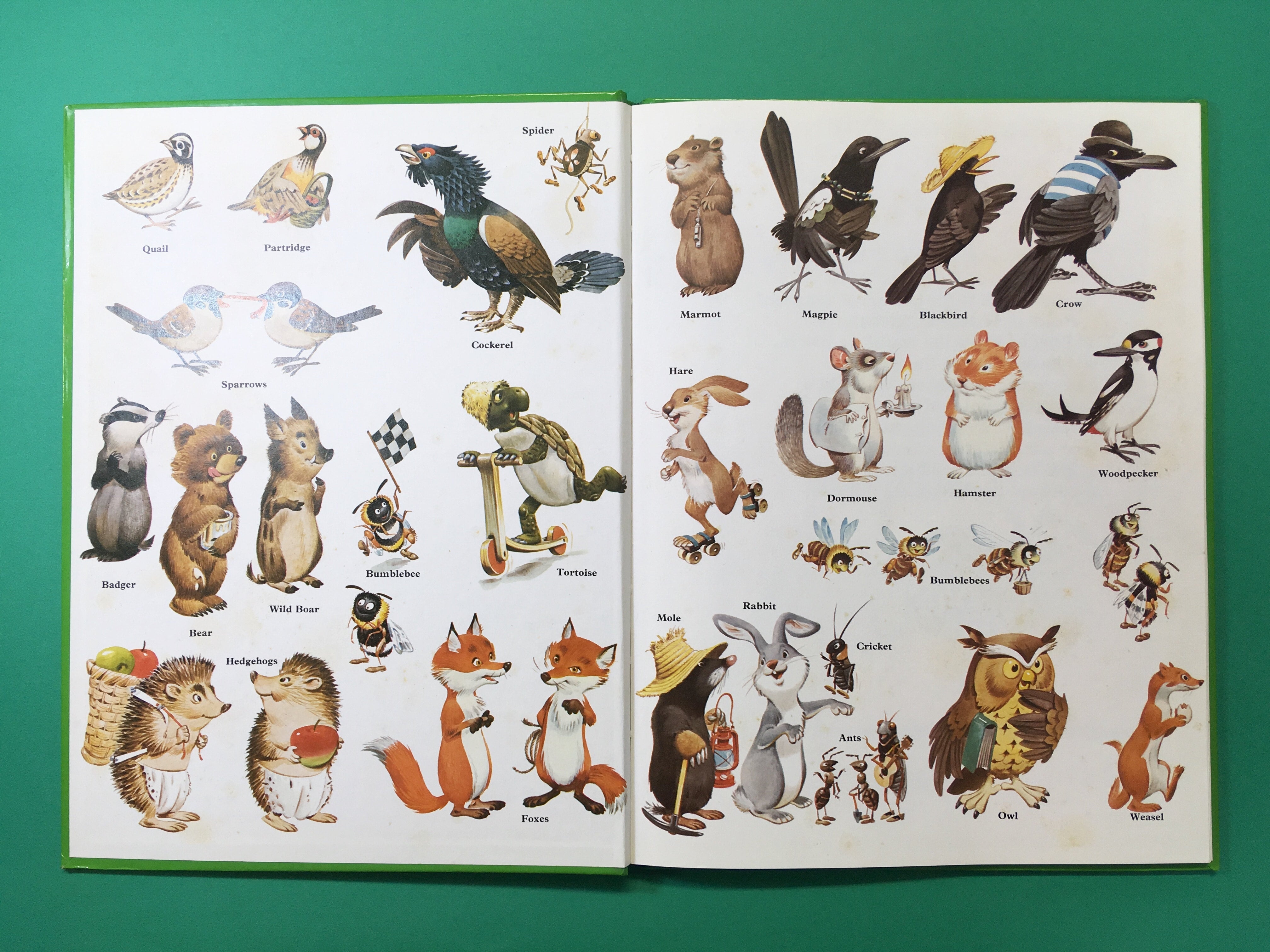 Meet The Woodland Folk｜Tony Wolf トニー・ウルフ | コ本や ONLINE SHOP