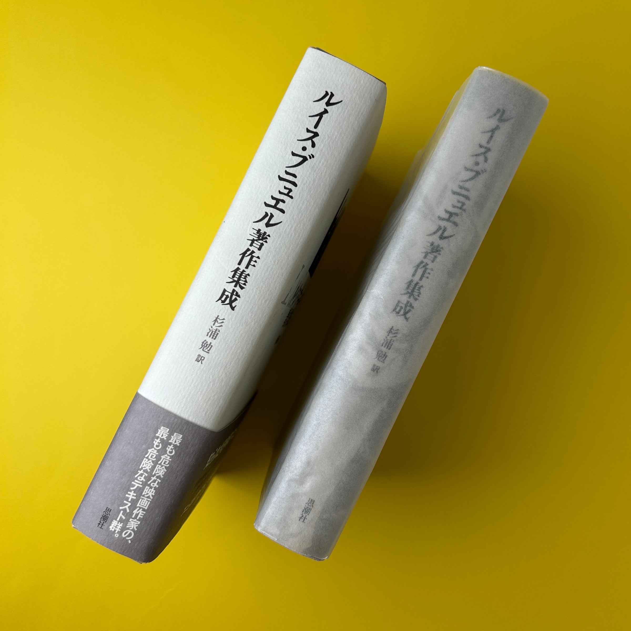 【中古】 ルイス・ブニュエル著作集成/思潮社/ルイス・ブニュエル ルイス・ブニュエル著作集成｜ルイス・ブニュエル | コ本や