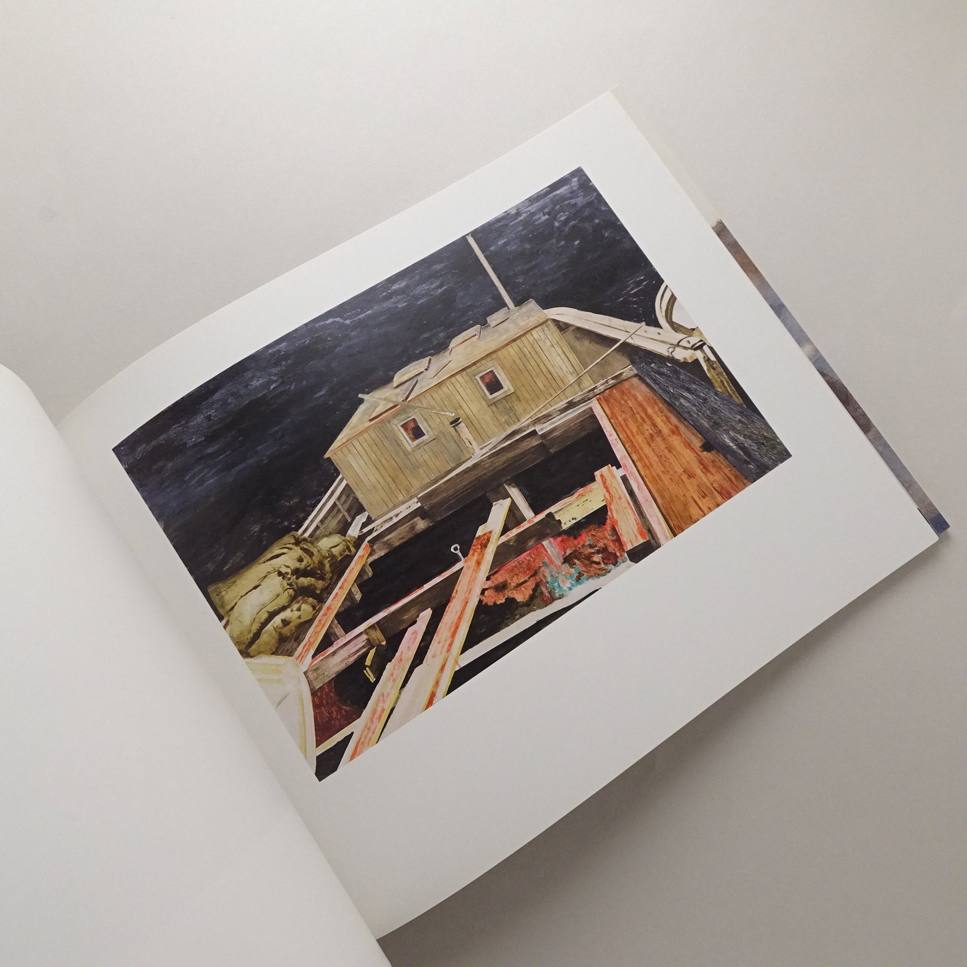 Mamma Andersson : Dog Days | コ本や ONLINE SHOP