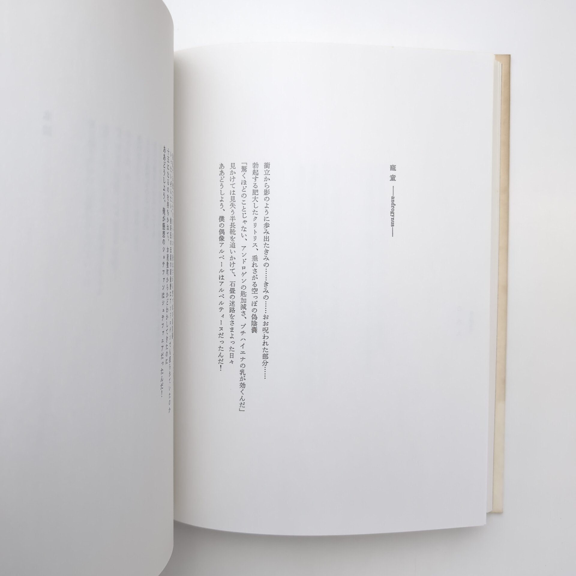 阿部日奈子『典雅ないきどおり』書肆山田 | SHEEPSHEEP BOOKS