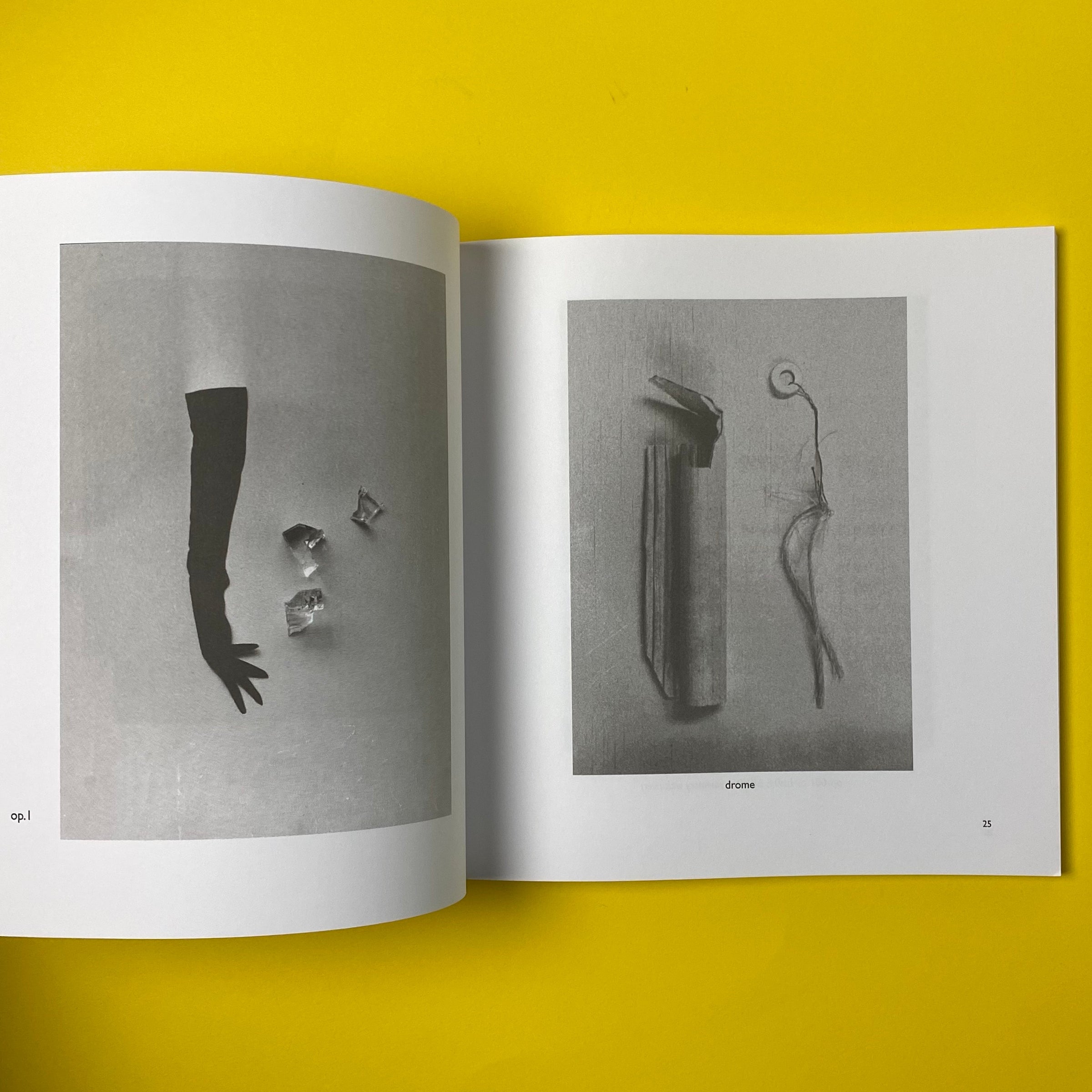 VOU: Visual Poetry, Tokio, 1958–1978｜Taylor Mignon | コ本や