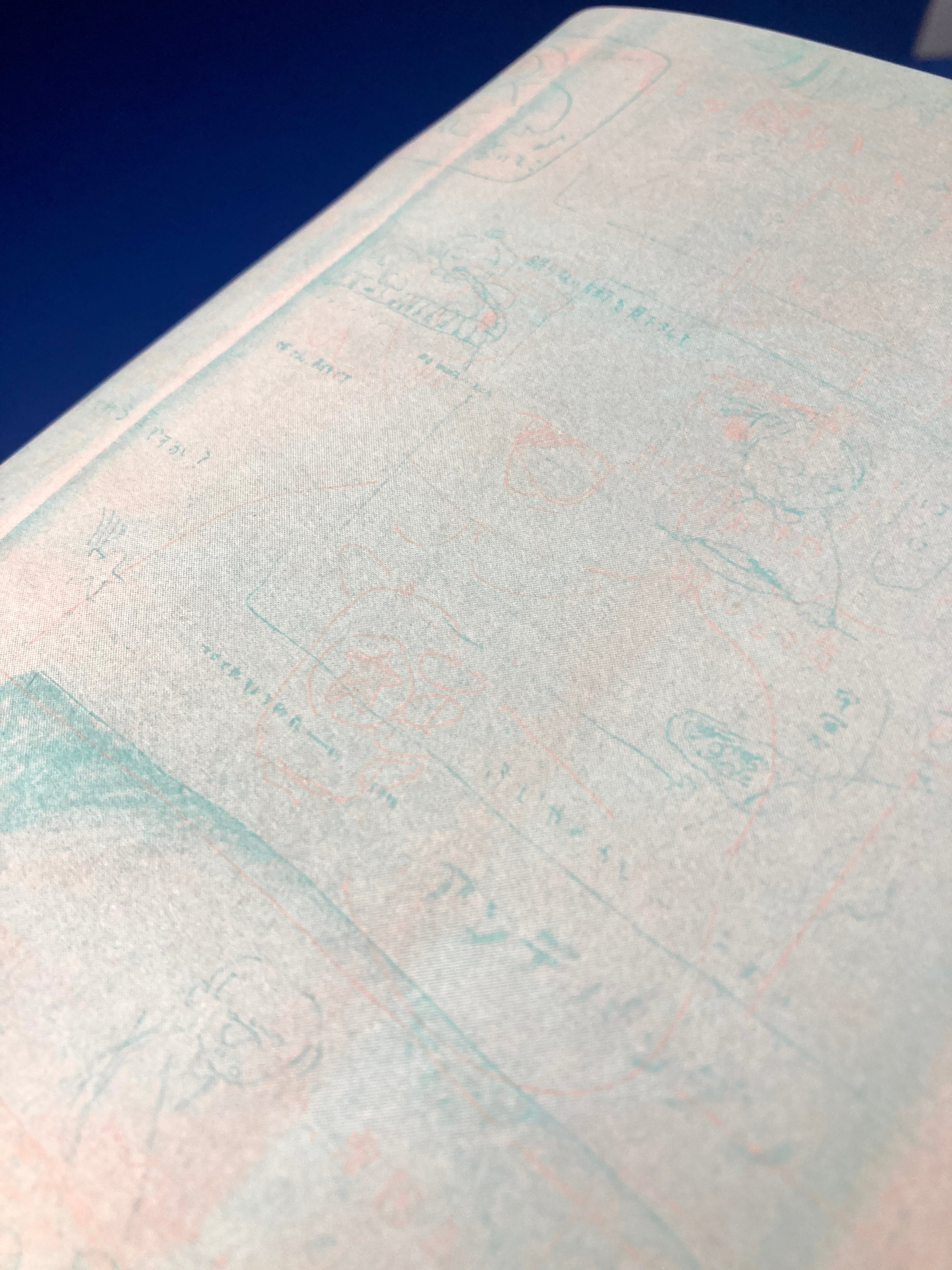 わたし、にしか見えない星の本 | コ本や ONLINE SHOP