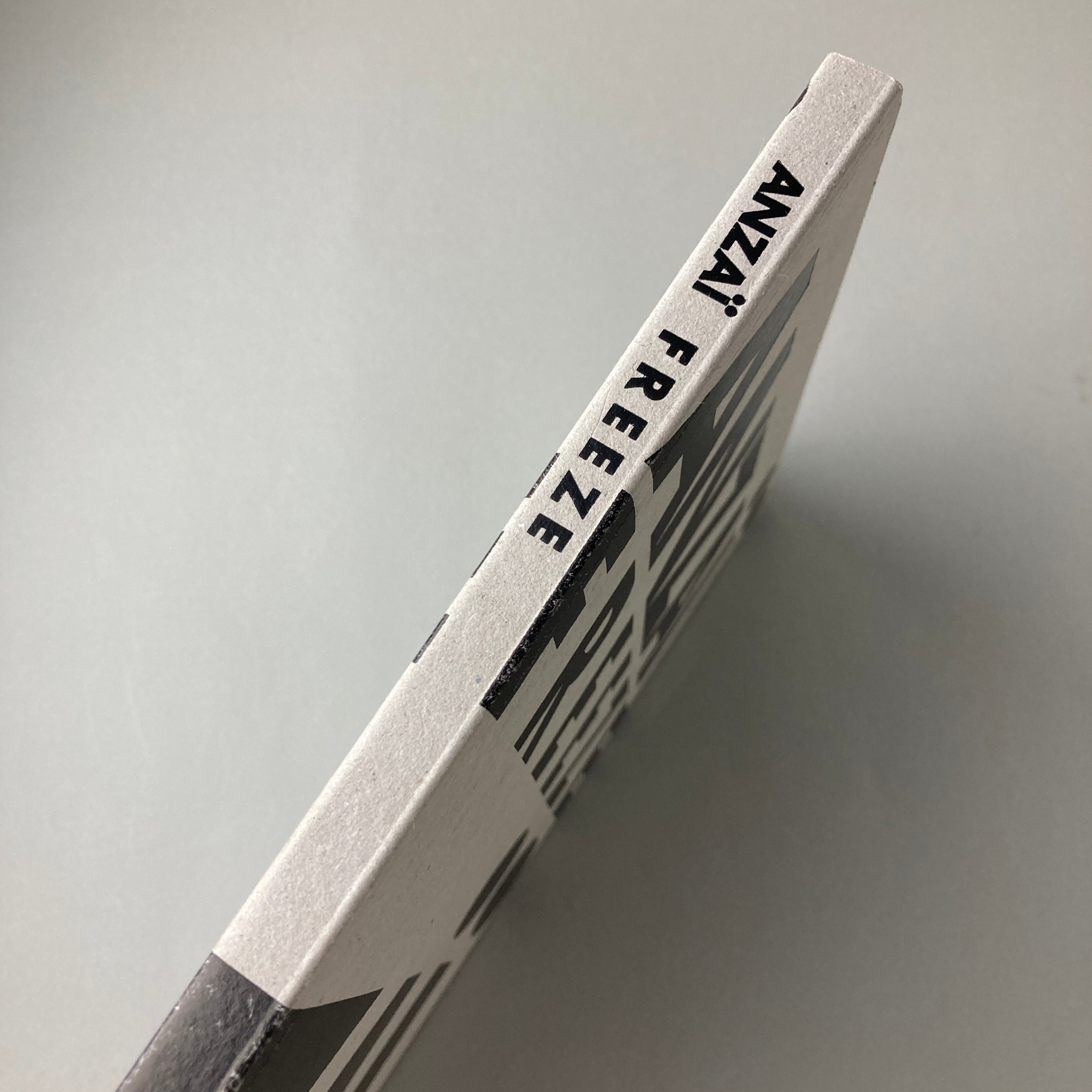 FREEZE｜安斎重男 | コ本や ONLINE SHOP