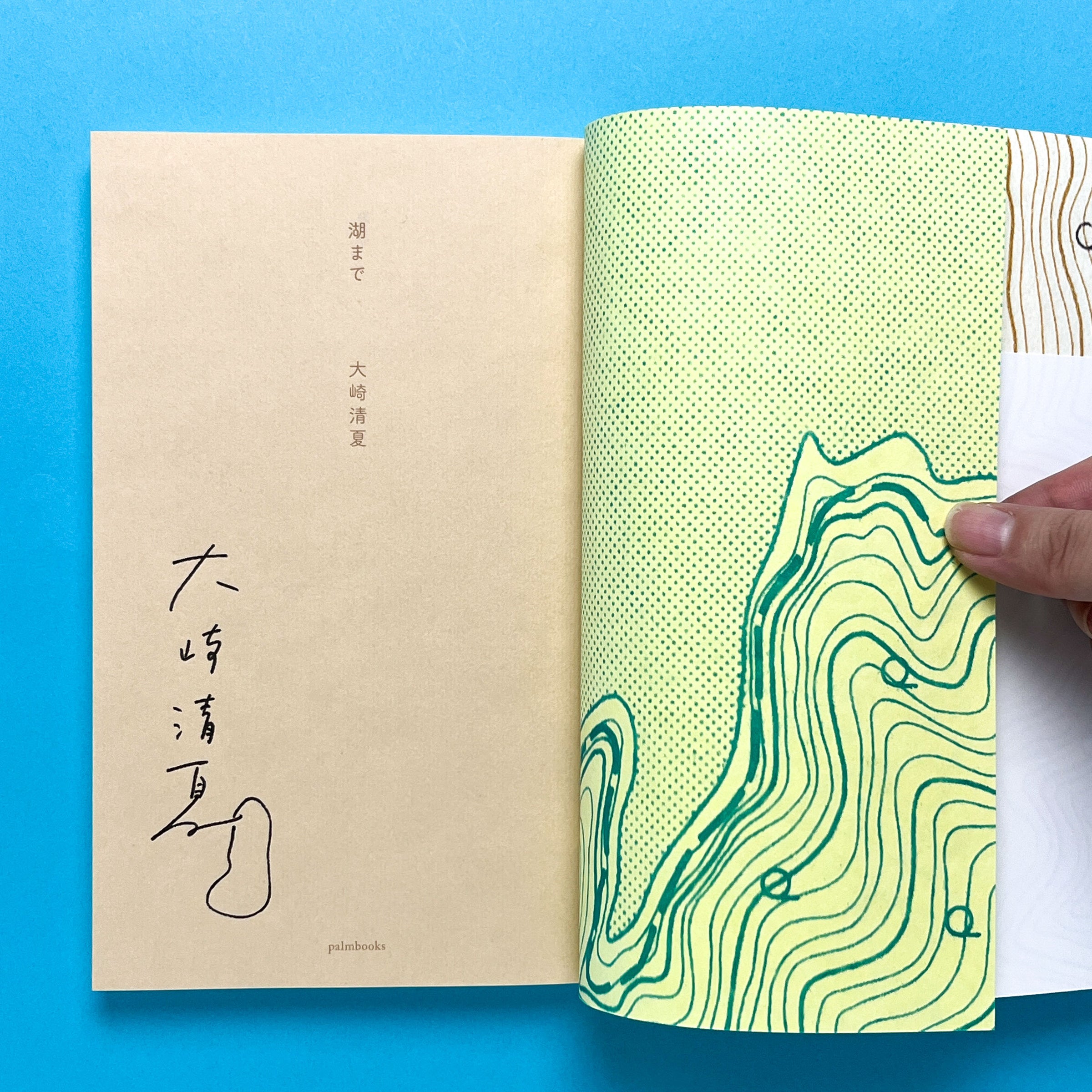 湖まで｜大崎清夏 ＊初回サイン本 | コ本や ONLINE SHOP