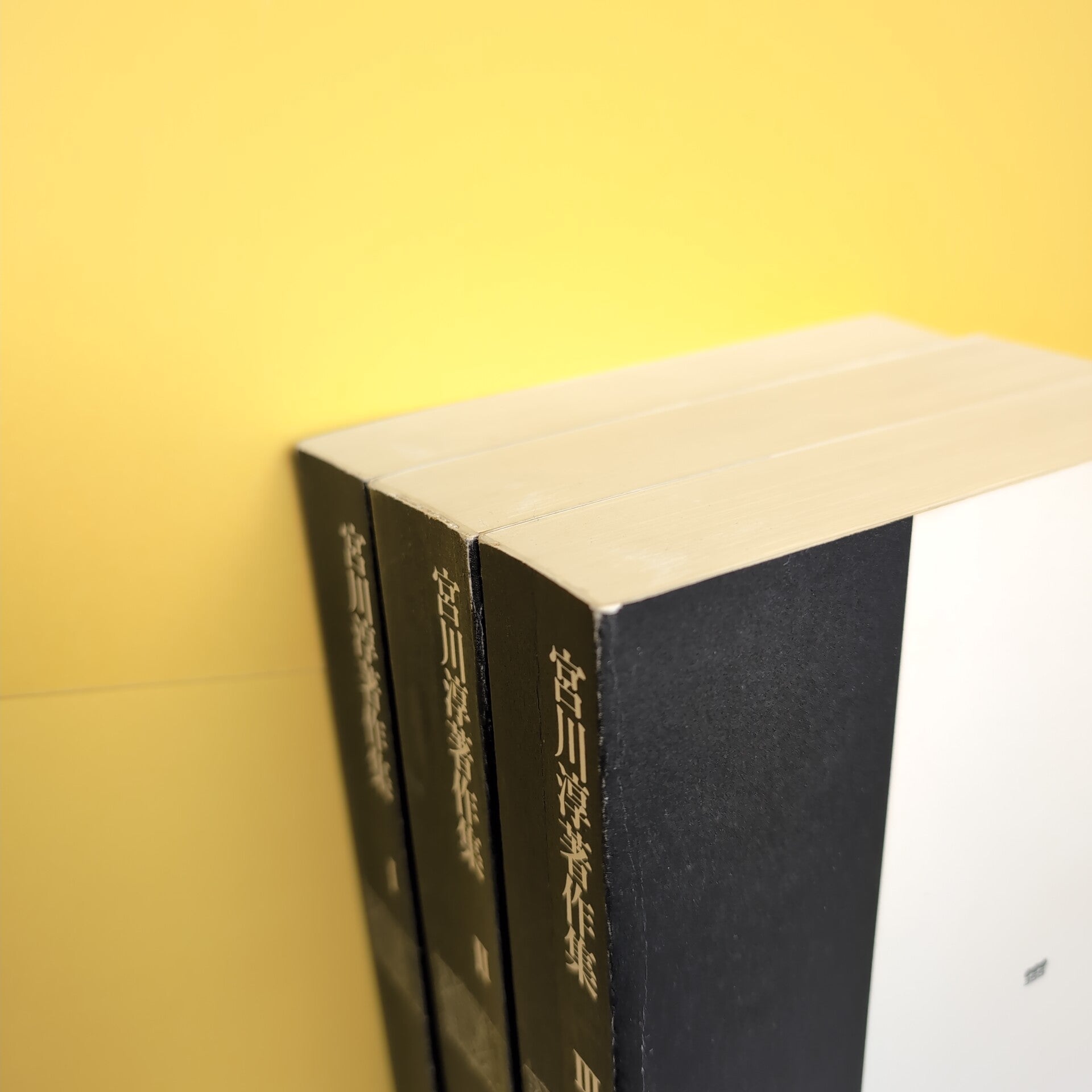 宮川淳著作集 全Ⅲ巻 新装版 | コ本や ONLINE SHOP