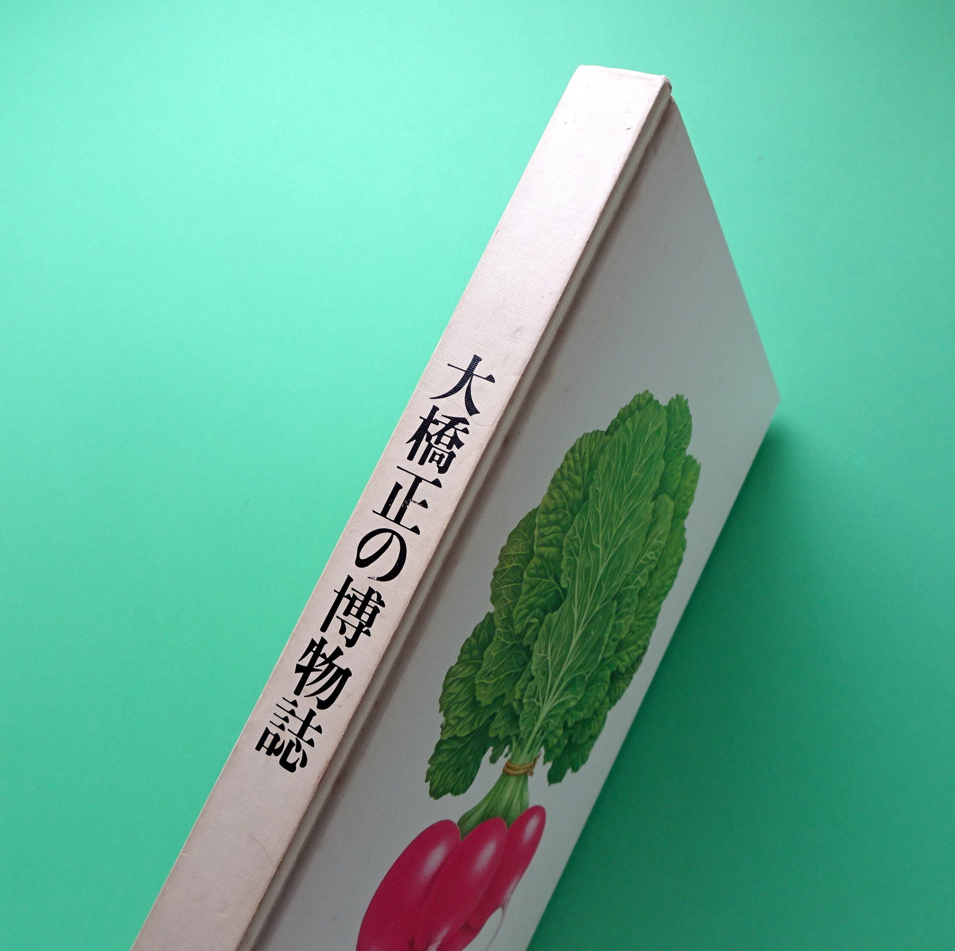 大橋正の博物誌 | コ本や ONLINE SHOP