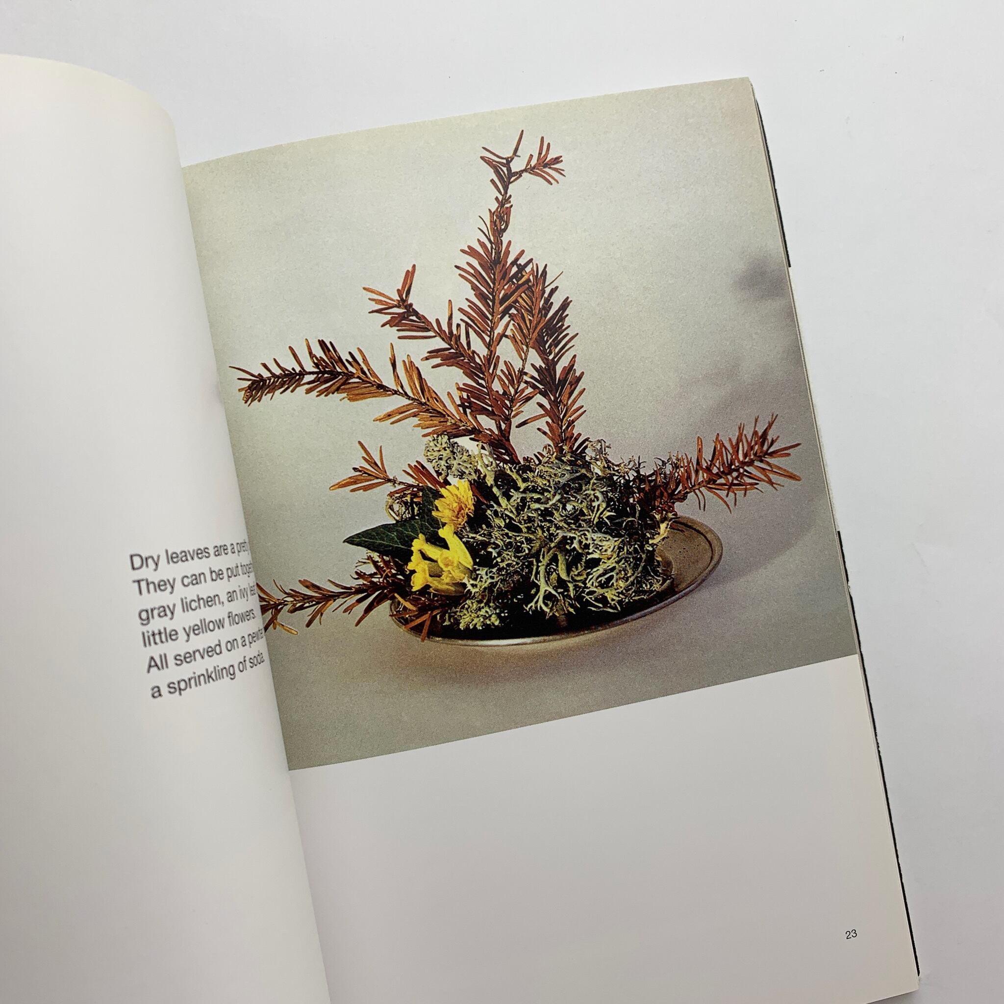 a flower with love｜Bruno Munari | コ本や ONLINE SHOP