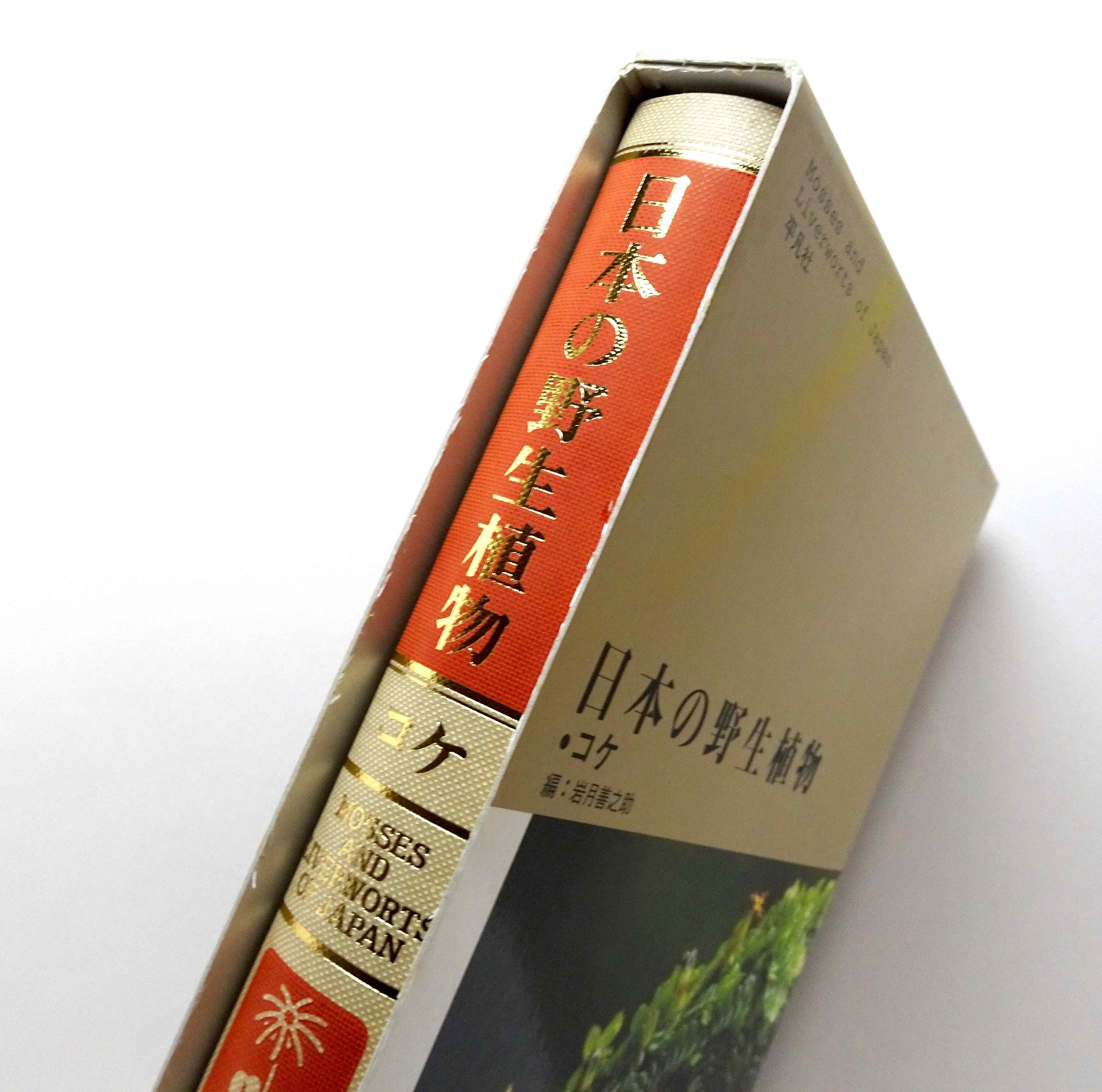 大人 可愛い 服  日本の野生植物 SHOP ONLINE コ本や | コケ 野草、植物