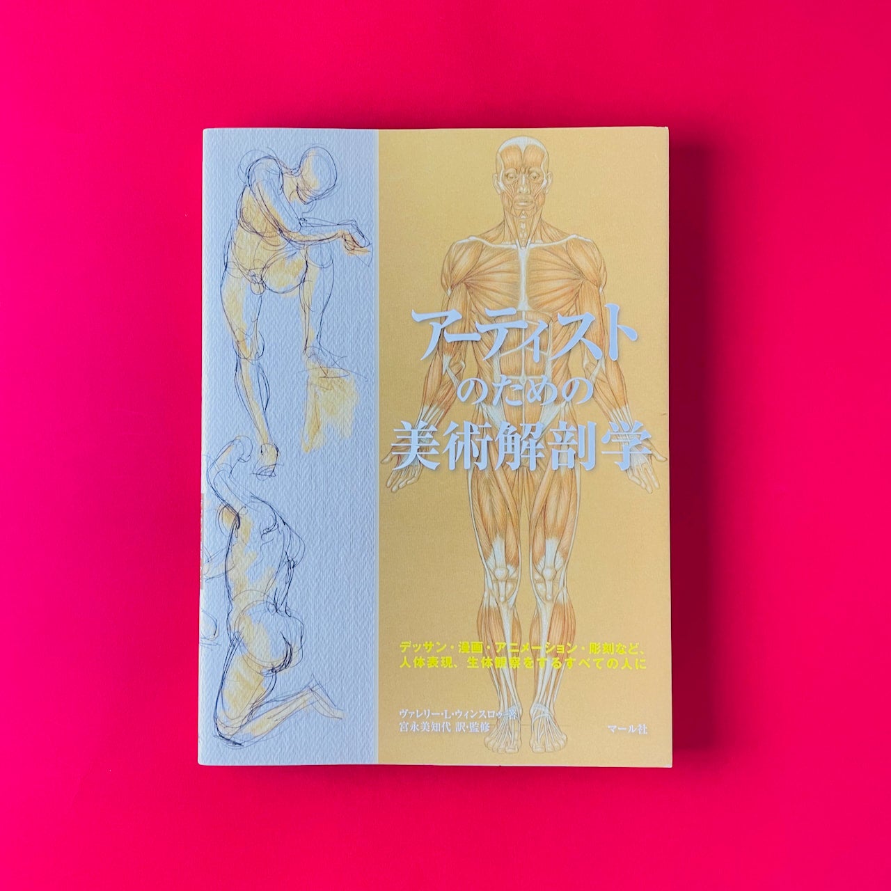 アーティストのための美術解剖学｜ヴァレリー・L・ウィンスロゥ著