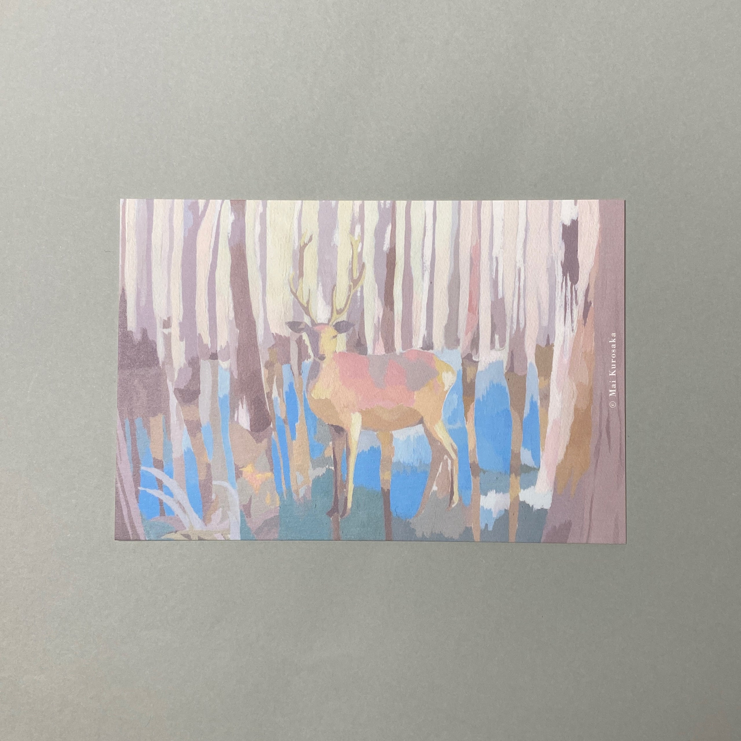 黒坂麻衣 Silent Landscape ショップ Mai Kurosaka