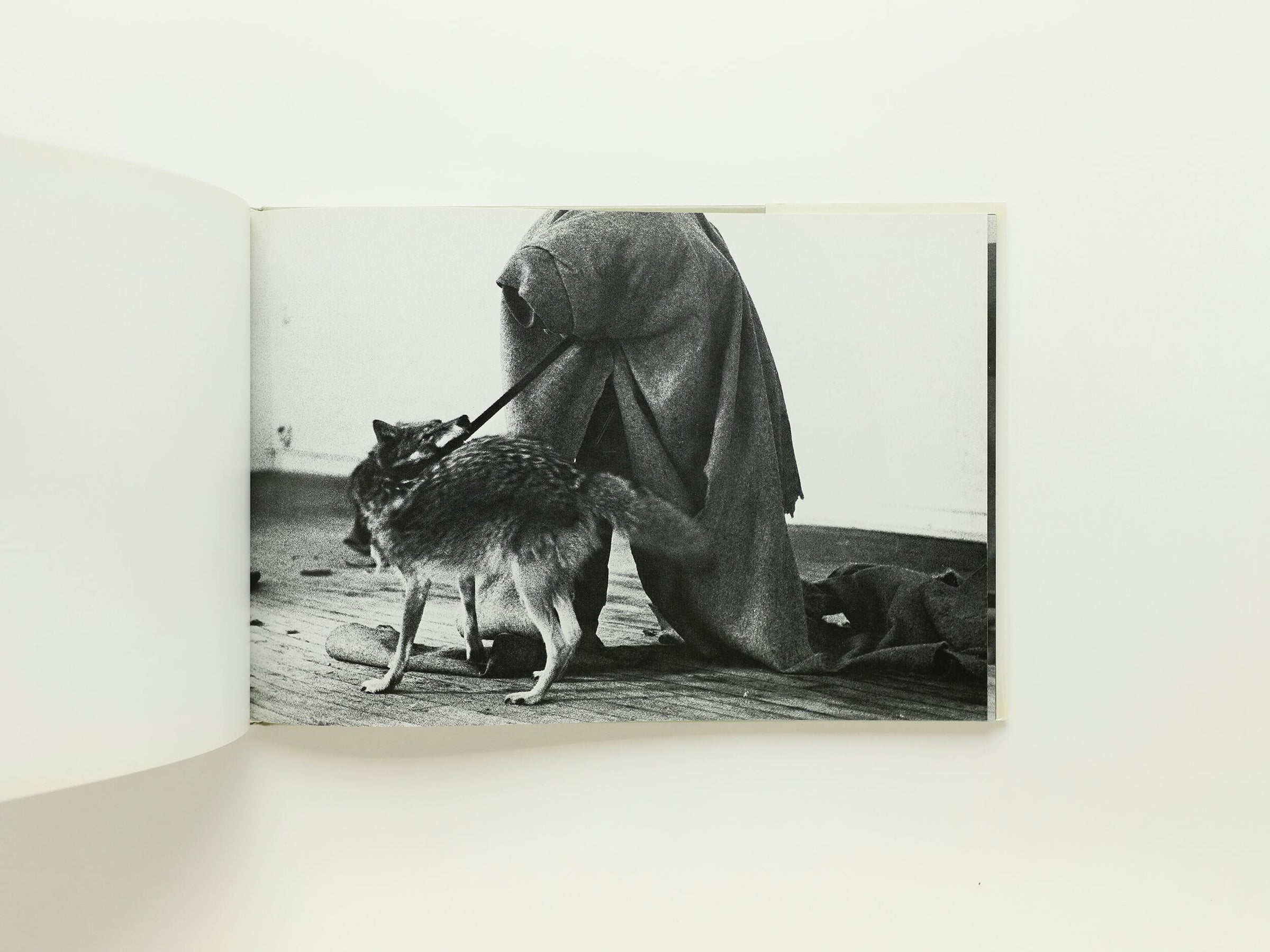 COYOTE ｜JOSEPH BEUYS | コ本や ONLINE SHOP