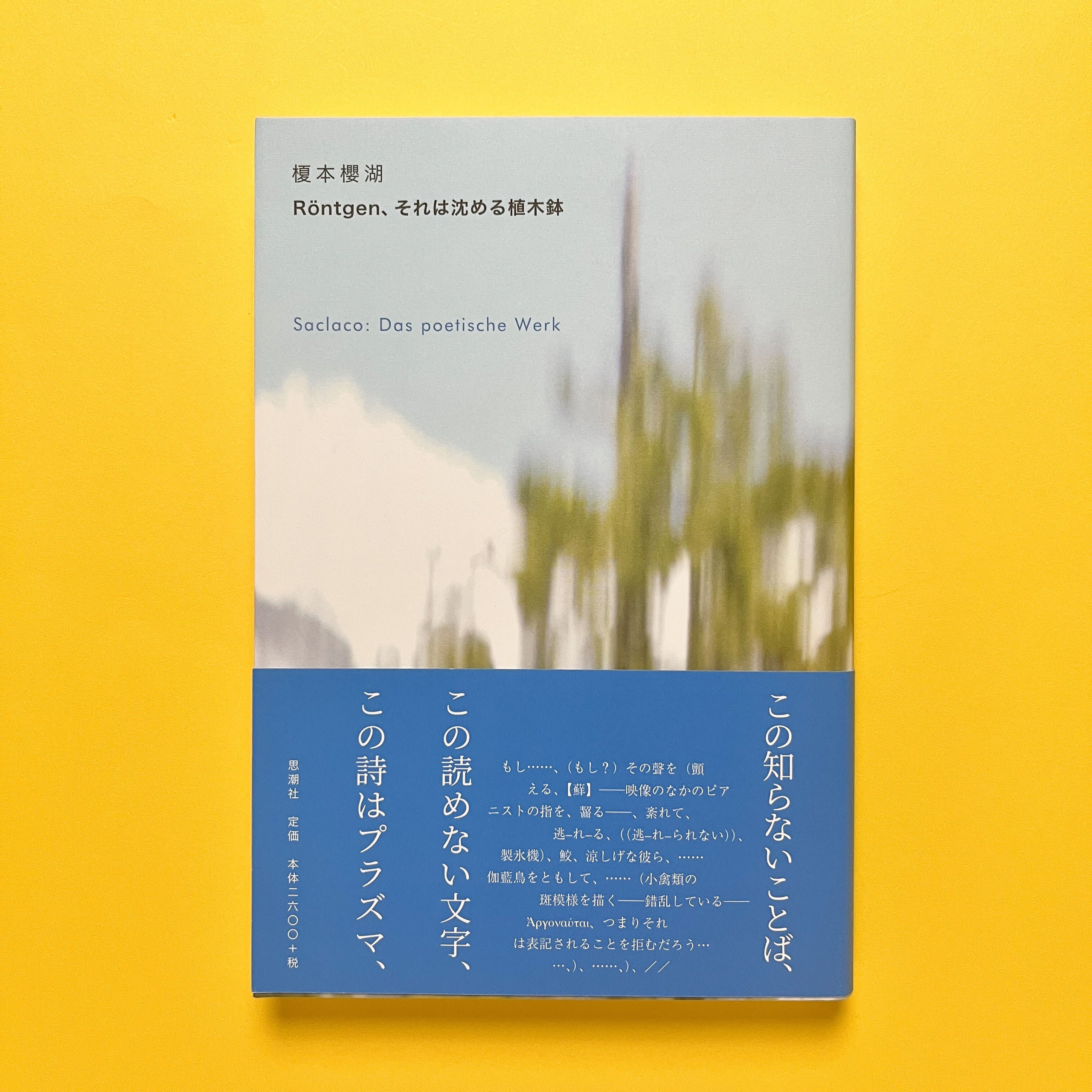 Röntgen、それは沈める植木鉢｜榎本櫻湖 | コ本や ONLINE SHOP